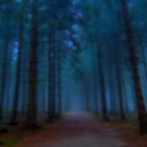 Meet your Posher, Marlee